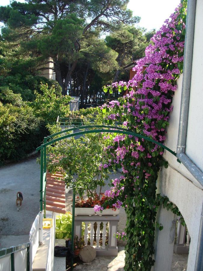 Apartments By The Sea Jadrija, Sibenik - 11356 Exterior foto